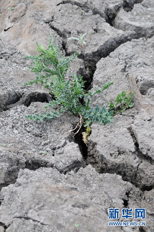 _˹2010ᮐ¸؅^40(li)δl(f)^(gu)ĺ2010712܇(ch)e˹ݞf˹^M(jn)oB(ti)Dɺa(chn)ѼyA/