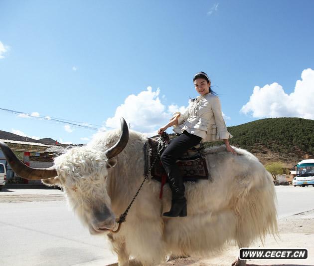 黃奕因為近期正在拍攝杜琪峰的新片來(lái)到香格里拉