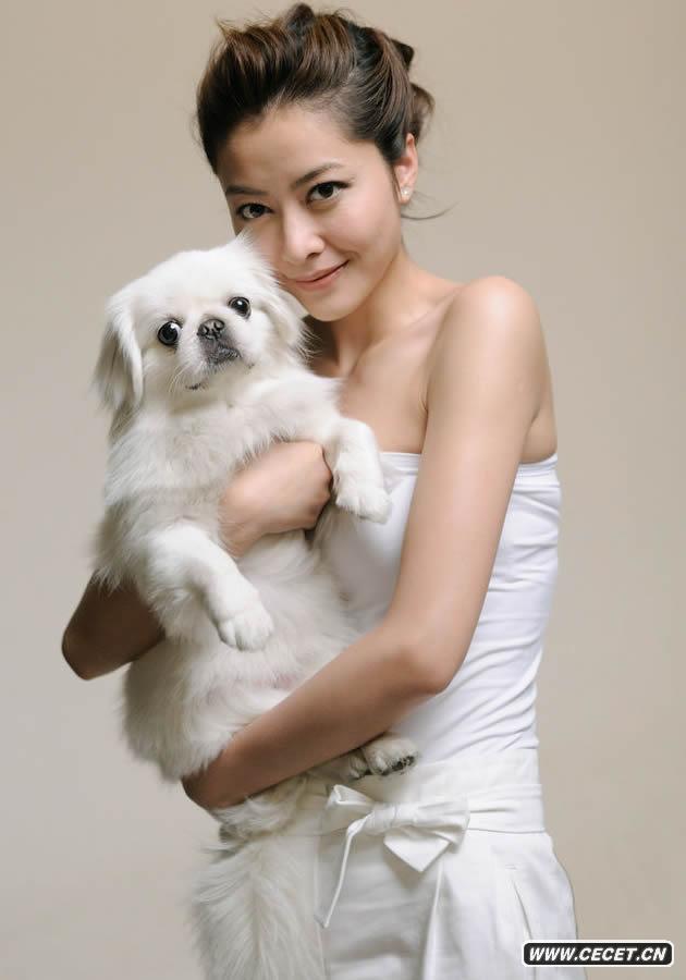 ģ״cݹ˾VF(chng)M@ģ؃Ě|(zh)͸w