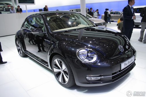 新甲殼蟲(chóng)