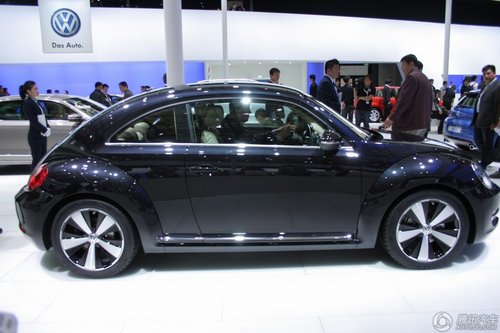 新甲殼蟲(chóng)