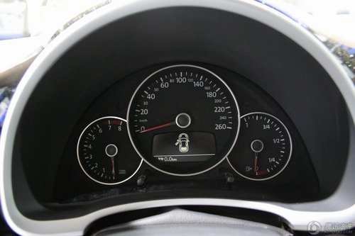 新甲殼蟲(chóng)