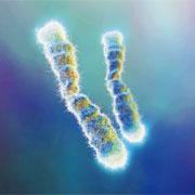 點(diǎn)擊進(jìn)入下一頁(yè)