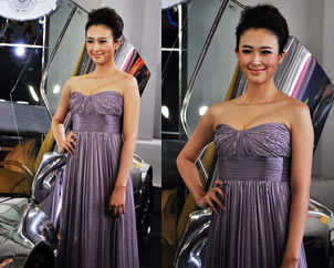 ܇(ch)ģFF2010܇(ch)չ