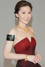 俽(zh)ƼtĨL(chng)ȹĔzV