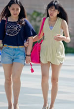 f(wn)V(chng)ăɂ(g)ţ