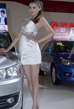 |L(fng)܇(ch)չץĵĸ