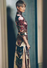 ɫ؈DʽƴL(chng)ȹ