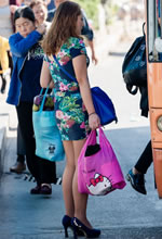 L(chng);܇(ch)վץĵۺ