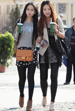 ăɂ(g)Ưĕr(sh)L(chng)