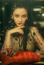 Angelababy~(y)Ƭ