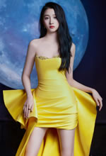 P(gun)ͮSɫL(chng)ȹվDǰ