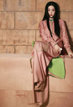 (zh)qP(pn)۽|Aܚqµĳ