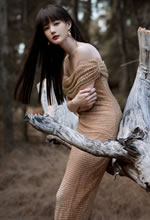 һͩ̽ȹL(chng)ֱİl(f)