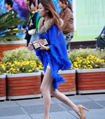 l(f)V(chng)L(chng)ü